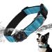 Airtag dog collar IP68 Waterproof Apple Air Tag keeper dog collar with Airtag holder reflective particularly durable dog collar for medium -sized dogs blue l l blue