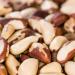 The Amish Eco-Farm Medium Brazil Nuts - Raw & Fresh 5lb Jar - Buy Online on GoSupps.com