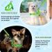 Eyein No-Pull Dog Harness with Leash - Soft Padded Reflective & Adjustable for Puppies Small & Large Dogs Cats - Green XXS - Buy Online on GoSupps.com