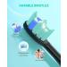 AUFIIT Electric Toothbrush for Adults - Sonic, Rechargeable, 5 Modes, Smart Timer, 8 Brush Heads - Black - Buy Online on GoSupps.com