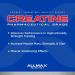 ALLMAX Nutrition - Creatine Monohydrate Micronized Creatine Powder for Strength and Muscle Recovery Gluten Free & Fast Absorbing 400g & ZMX2 90 Count - Buy Online on GoSupps.com