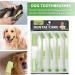 HANABASS 2 Sets Pet Toothbrush Toothbrushes Dog Toothbrush and Toothpaste Dog Toothbrushes Pp Green - Buy Online on GoSupps.com