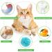 AUCENIX Silvervine Cat Chews - Natural Matatabi Dental Toys for Cats & Kittens (2 Pcs) - Promote Healthy Teeth & Playfulness - Buy Online on GoSupps.com