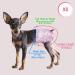 Soft Disposable Dog Diapers for Bitches - 20 Pack Adjustable Tail Hole High-Suction Cat Diapers (XS) - Buy Online on GoSupps.com