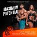 JOYLI Nutrition Fadogia Agrestis & Tongkat Ali - 1600MG Muscle Builder Supplement | 200 Vegan Capsules for Men | Boost Performance & Vitality - Buy Online on GoSupps.com