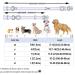 Dogwong Violet Dog Collar with Removable Fly | Adjustable & Comfortable for Small to Medium Dogs | Perfect Gift for Girls - Pack of 1 - Buy Online on GoSupps.com