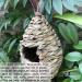 Hand-Woven Eco-Friendly Teardrop Bird Hut | Hanging Grass Bird House | 100% Natural Fiber | Shelter from Cold Weather - Buy Online on GoSupps.com