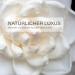 Leo & Lilo Set of 4 hand cream camellia 20 ml - very intensive care for dry and stressed hands - with precious organic camellia oil and camellia flower extract - BDIH certified natural cosmetics - Buy Online on GoSupps.com
