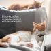 Shop Airtag Cat Collar - Integrated Apple AirTag GPS with Bracket & Bell Tracker | Black for Boys & Girls - International Shipping Available - Buy Online on GoSupps.com