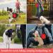 Vivifying 1000ml Foldable Dog Bowl - 2 Pack Silicone Pet Feeding Bowls for Travel (Black & Red) - Buy Online on GoSupps.com