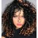 Curly Wigs for Black Women - Brown Mixed Black Synthetic Hair African American Full Kinky Curly Afro Wig with Bangs Brown Mixed Black #T1B/30