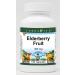 Elderberry Fruit - 450 mg (100 Capsules ZIN: 520027) - 3 Pack