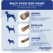 Downtown Pet Supply Bully Sticks for Dogs (6" 10-Pack Jumbo) Non-GMO Grain Free Rawhide Free Dog Chews Long Lasting Pizzle Sticks - Low Odor Bully Sticks for Large Dogs - Buy Online on GoSupps.com