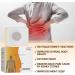 Patch de soins r naux Med Max Care Patch pour hommes femmes Naturel et s r Gardez la minceur et la sant (1Box / 30pcs) tfd3 - Buy Online on GoSupps.com