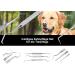 Stainless Steel Pet Dental Care Set | Tartar Scratches Dog & Cat Tooth Cleaner | Mini Toothpick for Rodents - Buy Online on GoSupps.com