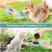 Philorn 350ml Portable Dog Drinking Bottle | BPA-Free 100% Leak-Proof | Cat & Dog Water Bottle & Food Mug | Mint Green - Buy Online on GoSupps.com