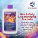 DrTim's Aquatics Reef Eco-Balance 2 oz - One & Only REEF-PURE - Buy Online on GoSupps.com
