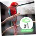 4 Sets Bird Leash Tool Trains Suspend Bird Fly Train Leash Pet Birds Leash Training Supplies Outdoor 12X6X1.3CMx4pcs Greenx4pcs - Buy Online on GoSupps.com