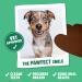 Denzel's Vegan Dog Dental Sticks - for Medium Dogs - Peanut Butter & Peppermint (Pack of 28) Peanut Butter & Peppermint 1 count (Pack of 28) - Buy Online on GoSupps.com
