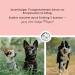 Annimally Flea & Tick Protection Spot On for Dogs (20-30kg) - 3 Months Long-Lasting Efficacy | Effective Tick & Flea Remedy - Buy Online on GoSupps.com