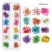 Changar Nail Sticker Set | 3D Dried Flowers for Nail Art | DIY Handicrafts & Synthetic Resin Five Petals - Buy Online on GoSupps.com