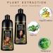 Herbal Dark Brown Hair Color Shampoo - 16.9 Fl Oz - Long-Lasting Instant Hair Dye - 3-in-1 Coloring Solution in 10-15 Minutes - Buy Online on GoSupps.com