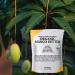 Mary Tylor Naturals Pure Mango Butter 2 lb - Cold Pressed, Unrefined & Raw for Skin and Hair Moisturizing - Buy Online on GoSupps.com