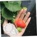 SEWOART 1 Set Shaping Clear Mold Vegetable DIY Molds Melon Stereotypes Plastic Forming Machine - Buy Online on GoSupps.com