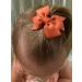 50 Pcs Tiny Baby Hair Clips - Alligator Clips Hair Bows for Girls in 25 Pairs - Hair Barrettes for Infants and Toddlers - Assorted Colors - Buy Online on GoSupps.com