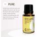 Buy Rocky Mountain Oregano Essential Oil 15 ml - Premium Quality Aromatherapy Oil for Immune Support & Wellness - Buy Online on GoSupps.com