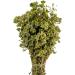 AgoraMarket Greek Dried Mountain Oregano Bunch 220g 195Kg Origanum Vulgare 220 grams - Buy Online on GoSupps.com