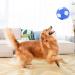 Piang Gouer Interactive Dog Football Toy - Plush Puzzle Ball for Medium & Large Dogs | 7.1in Jolly Ball - Buy Online on GoSupps.com