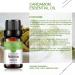 Buy 100% Pure Organic Cardamom Essential Oil - Natural Plant Oil for Diffuser Massage & Skin Care - 10ML - International Shipping Available - Buy Online on GoSupps.com