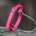 SPRENGER BioThane Spur Straps 45 cm Pink | Durable Stainless Steel for Optimal Performance - International Shipping - Buy Online on GoSupps.com