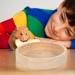 POPETPOP Chick Food Rack | Hamster & Squirrel Food Bowl Holder | Wooden Multifunction Small Dish for Guinea Pig & Small Pets - Buy Online on GoSupps.com