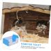 HAPINARY 1pc Hamster Toilet Trash Can Chinchilla Toilet Hamster Litter Toilet Small Pet Supply PVC 15x10cm Blue - Buy Online on GoSupps.com