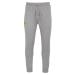 Borussia Dortmund Unisex Training Pants Jogging Pants Logo Grey M Grey