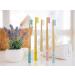 Lamcy Bamboo Toothbrushes for Adults with Medium Bristles | Pack of 5 Natural Bamboo Toothbrush | Eco-Friendly Natural Wooden Toothbrush | Organic Biodegradable Handle | BPA Free Tooth Brushes Adults - 5 Pack - Buy Online on GoSupps.com