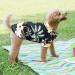 Hawaiian Style Dog Shirts Coconut Tree Printed Dog Clothes Dog T-Shirt for Beach Pet Cool Clothes for Medium and Large Soft Comfortable Dog Short Sleeve Summer Apparel Outfit for Dogs Cats (L) - Buy Online on GoSupps.com