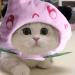 Cute Cat Costume Fruit Shape Funny Pet Costume Soft Washable Pet Christmas Costume Puppy Party Costume Accessory Headwear Pink - Buy Online on GoSupps.com