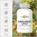 Revitalize Wellness Ashwagandha + Vitamin C Capsules | Stress and Immune Support Complex | with 550 mg Ashwagandha and 200 mg Vitamin C per Serving | 30 Servings - Buy Online on GoSupps.com