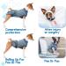 Supet Dog Recovery Suit for Pets | Post Surgery Healing Garment | Prevent Licking Wounds | Puppy Surgical Clothes M (Blue Striped) - Buy Online on GoSupps.com