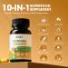 Moringa Capsules 10-in-1 Superfood Supplement Turmeric Curcumin, Bromelain & Black Pepper Supports Mobility & Recovery, Energy, Digestion, Immunity & Skin Vitality Vegan, Non-GMO, Gluten-Free 60 Count (Pack of 1) - Buy Online on GoSupps.com