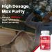 Turkesterone 1200mg Supplement - Max Strength Ajuga Turkestanica Extract for Bodybuilding - 60 Vegan Capsules - Buy Online on GoSupps.com