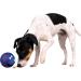 Trixie 3492 Snack Ball - Green Plastic Dog Toy (7 cm) | International Shipping Available - Buy Online on GoSupps.com