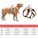 Buy Heele XL Brown Dog Harness - Breakout Buckle Reflective Robust Handle & Panic Clip | Comfortable Fit for Large Dogs - Buy Online on GoSupps.com