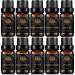 Aromatherapy Ginger Essential Oil Set for Diffuser 100% Pure Cinnamon Essential Oil Kit for Humidifier 10x10ml Therapeutic Grade Essential Oils Set - Clove Eucalyptus Frankincense Peppermint Oil