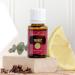 Young Living Thieves 15ml - 100% Pure Aromatherapy Essential Oil Blend for Refreshing Breathing & Natural Home Cleaning - Buy Online on GoSupps.com