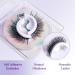 4 Pair Self Adhesive Eyelashes Reusable Pre Glued Eyelashes Wispy Fake Eyelashes Natural Look Self Adhesive Lashes No Glue Needed Add Instant Volume and Glamour - Buy Online on GoSupps.com