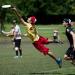 Buy Eurodisc 175g Flying Ring | Ultimate Frisbee - Professional Competitive Wurdring Disc for All Players - FURSSPORT RAINBOW - Buy Online on GoSupps.com